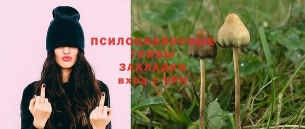 стафф Нязепетровск