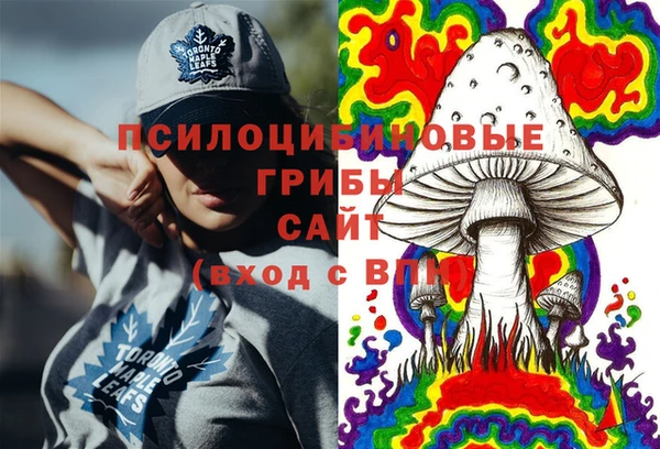 а пвп мука Няндома