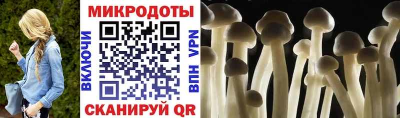 Псилоцибиновые грибы мухоморы  Санкт-Петербург 
