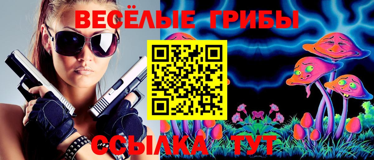 Санкт-Петербург  закладка  Вход с VPN  Галлюциногенные грибы мицелий 