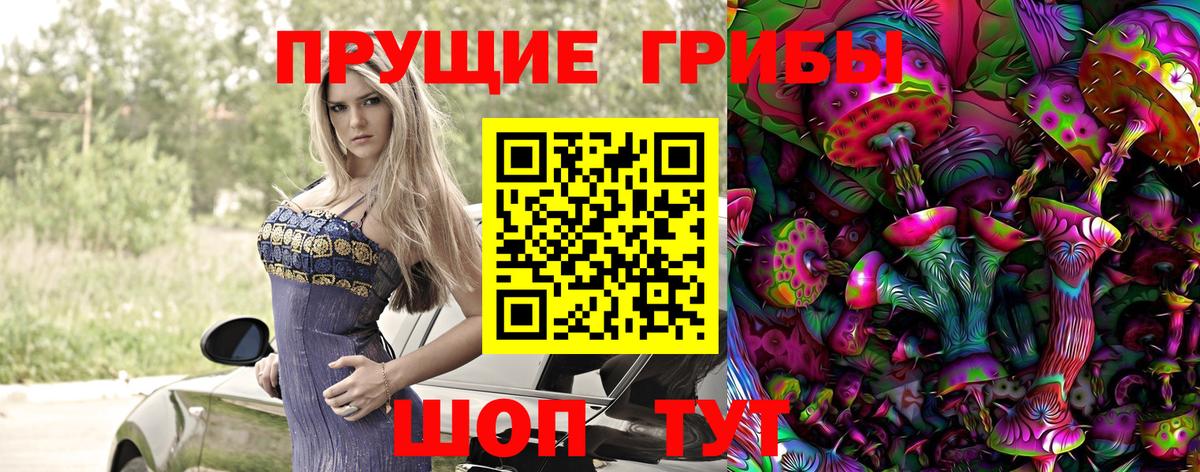 Галлюциногенные грибы прущие грибы  Санкт-Петербург 
