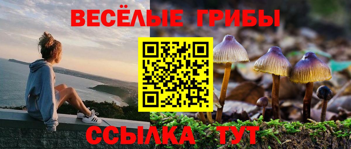 Галлюциногенные грибы Cubensis Санкт-Петербург