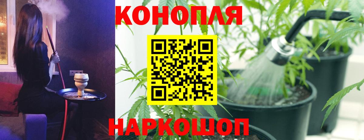 Бошки марихуана SATIVA & INDICA Санкт-Петербург